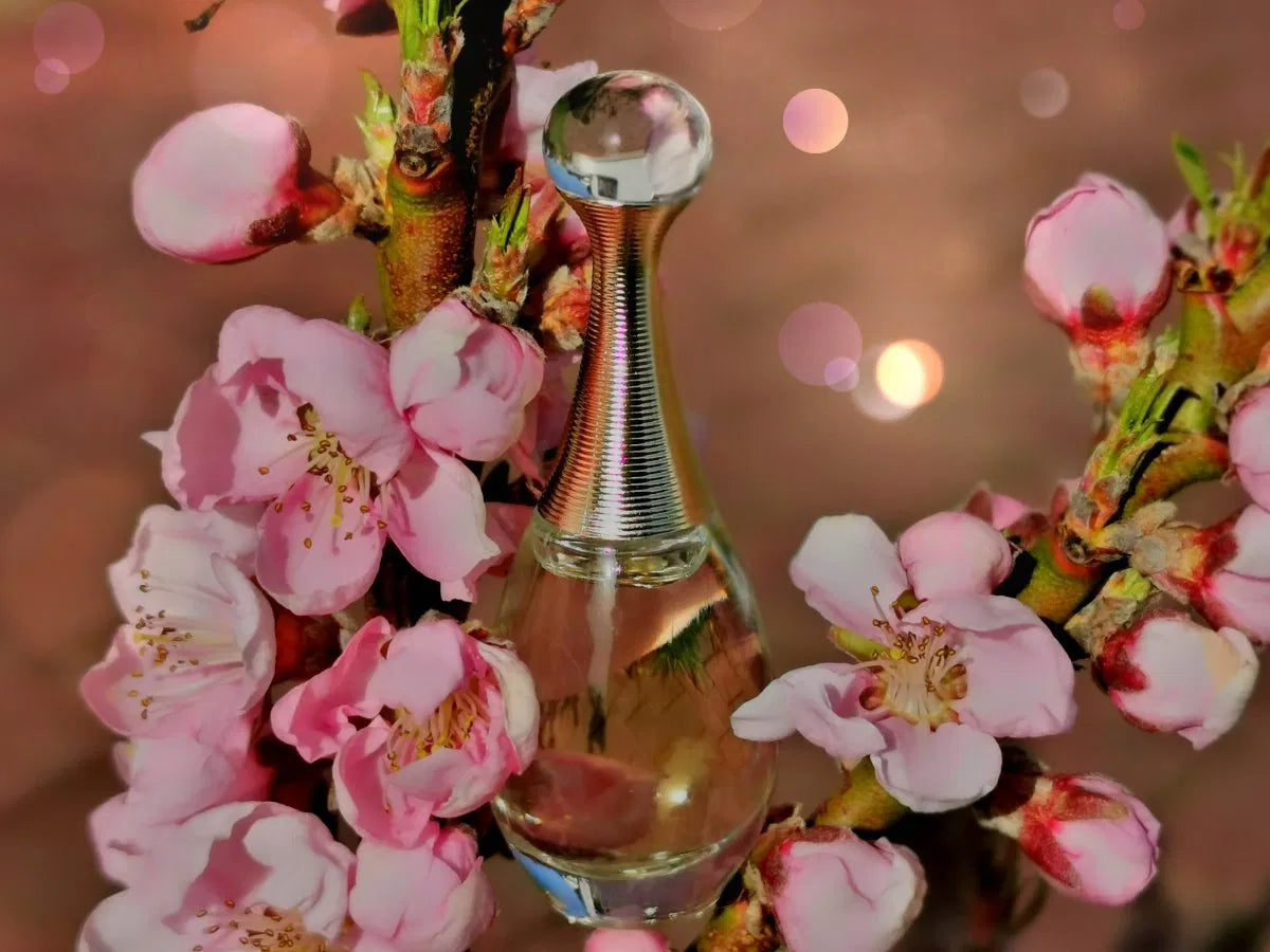 Dior J'adore 100ml EDP